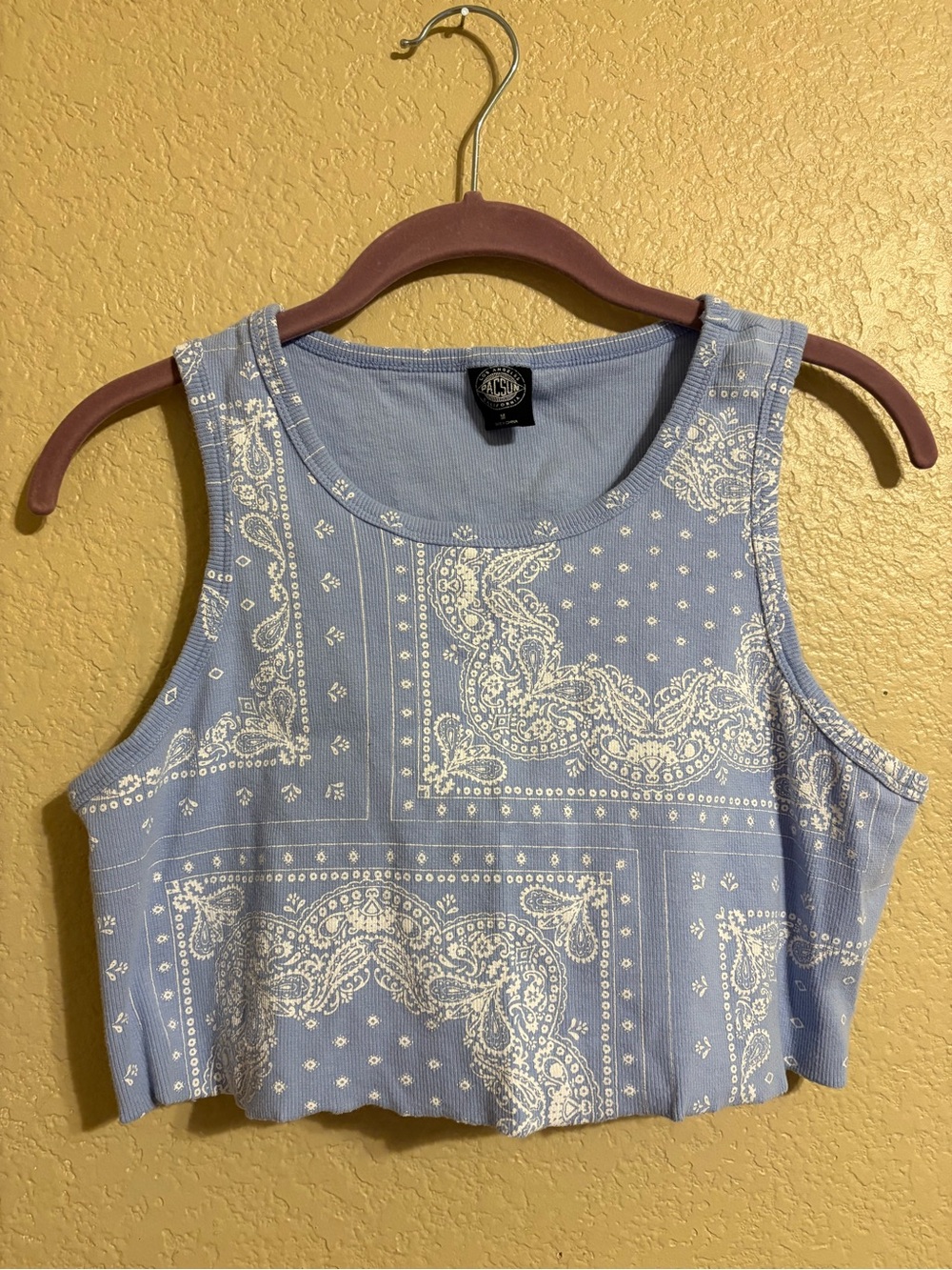 PacSun Light Blue Paisley Crop Tank